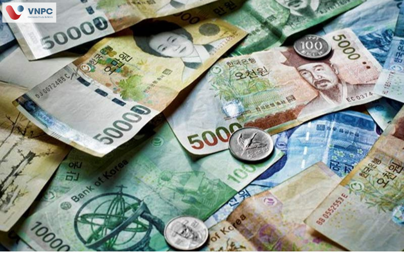 Đăng nhập King88 vina nhận +888K hàn quốc ngành điều dưỡng